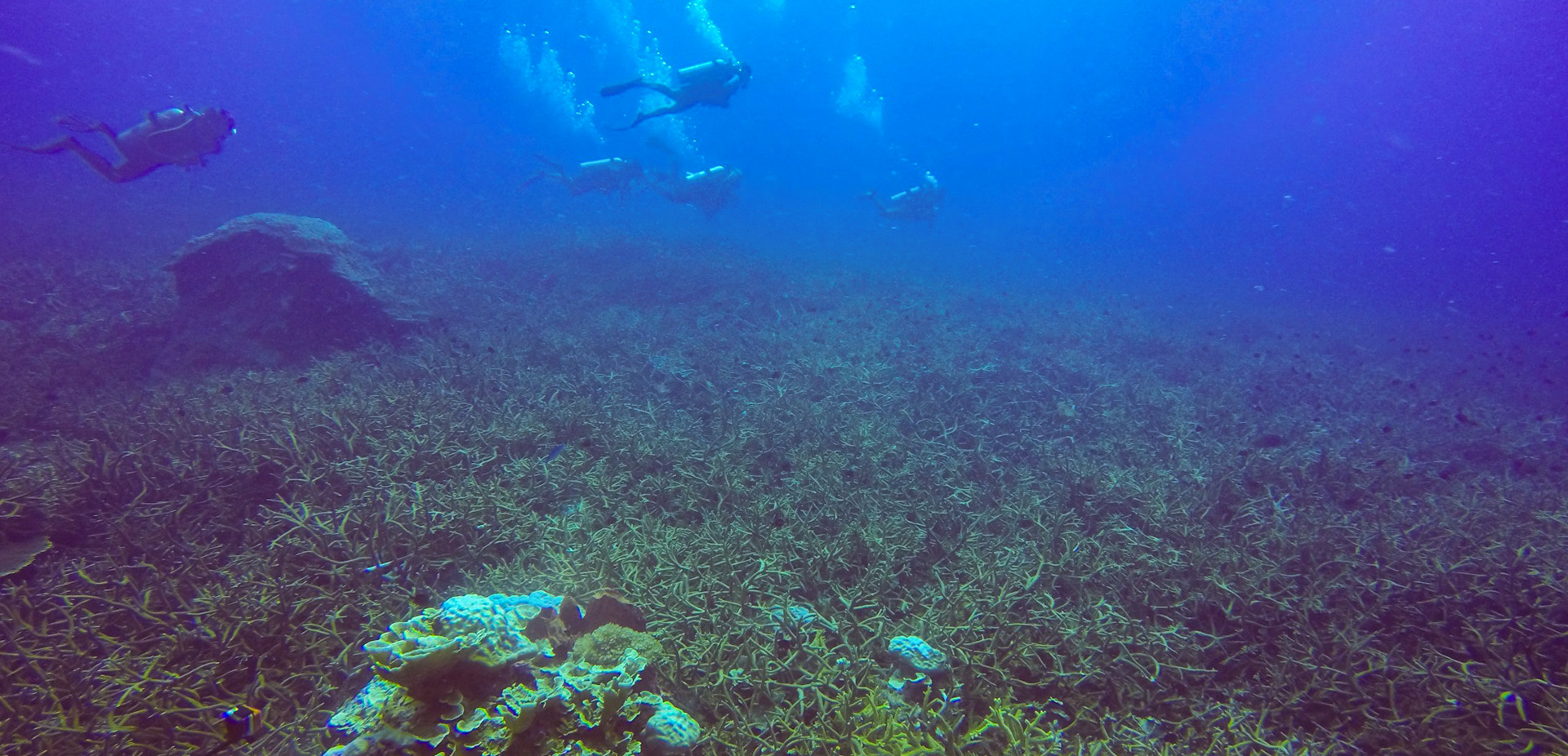 戴思乐水处置惩罚手艺