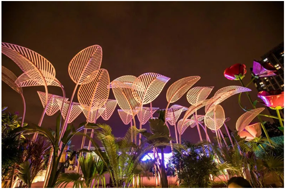 无氯游泳池系统，无氯游泳池，露天无氯游泳池