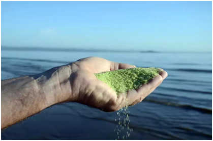 别墅泳池，别墅泳池装备，别墅泳池装备有哪些类型？