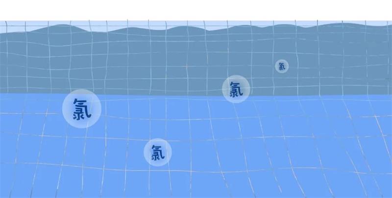 新葡的京集团350vip8888(中国)有限公司官网