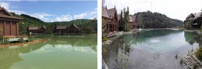 新葡的京集团350vip8888(中国)有限公司官网