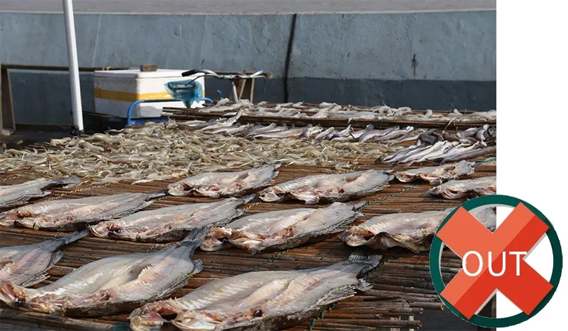 新葡的京集团350vip8888(中国)有限公司官网