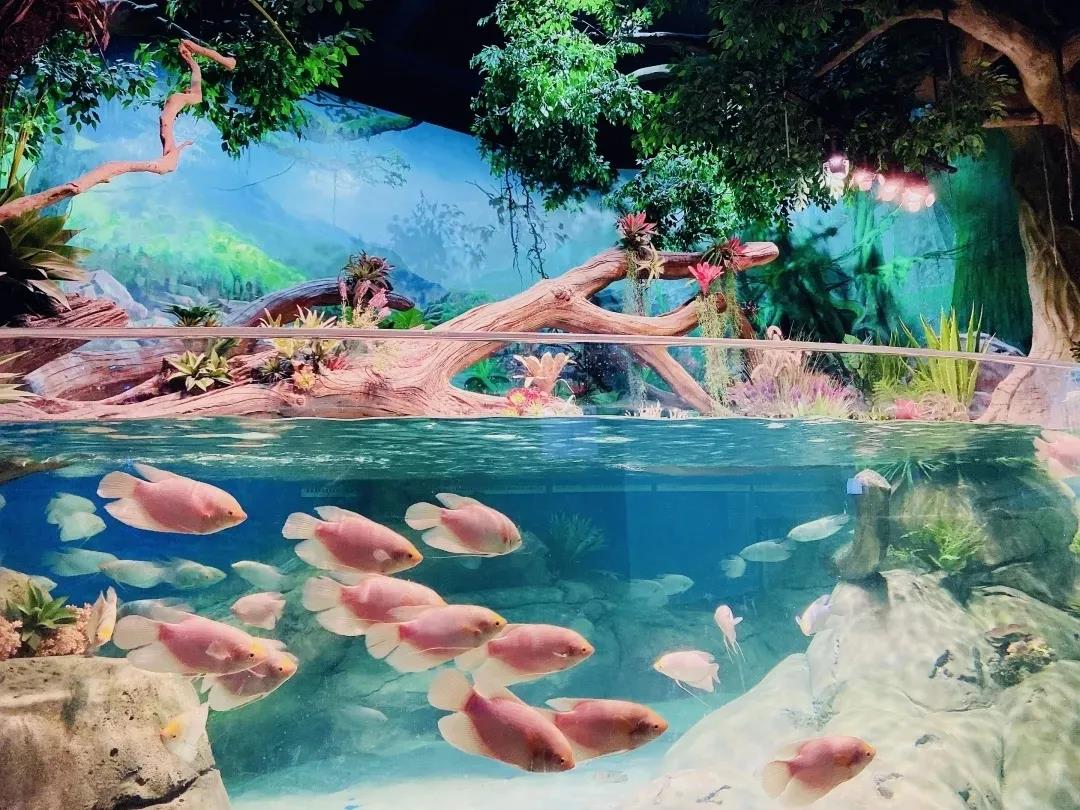 新葡的京集团350vip8888(中国)有限公司官网