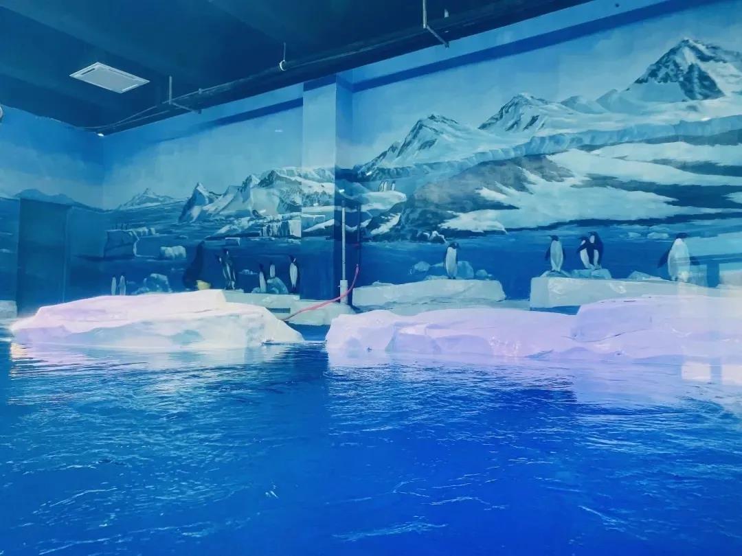 海洋馆,游洋馆水质处置惩罚