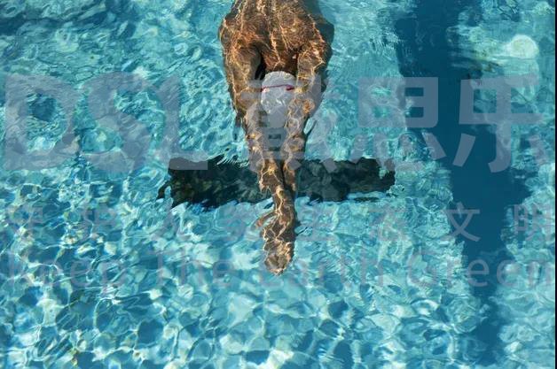 新葡的京集团350vip8888(中国)有限公司官网