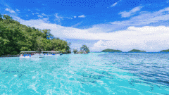 <b>是什么竟把“小而美”的泳池，酿成了辽阔无垠的汪洋大海？</b>