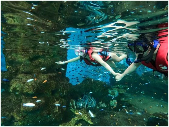 浮潜体验馆,浮潜馆,海内浮潜体验馆