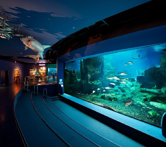 海洋馆设计，海洋馆设计要点，海洋馆设计公司