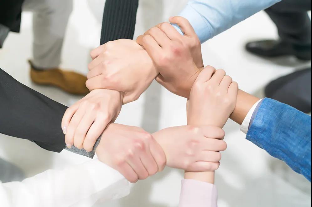 戴思乐泳池装备