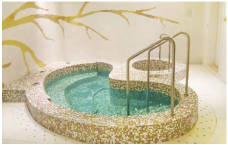 戴思乐SPA泳池，在家也能舒惬意服的“马杀鸡”，你值得拥有！