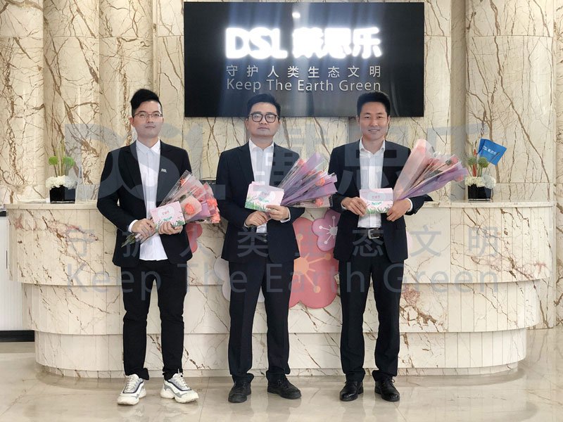 戴思乐,戴思乐集团