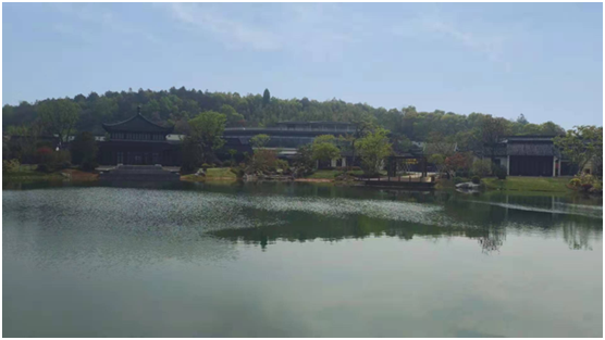 人工湖生态问题怎样治理？