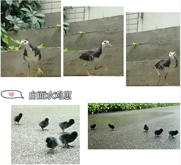 新葡的京集团350vip8888(中国)有限公司官网