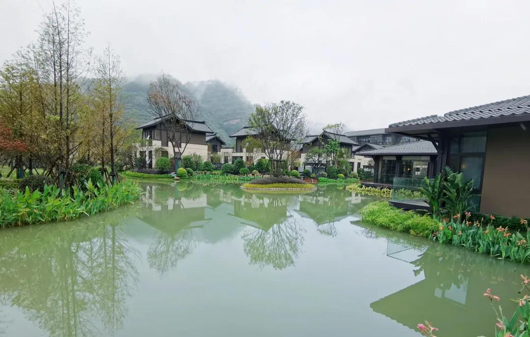 新葡的京集团350vip8888(中国)有限公司官网