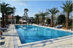 <b>常见的游泳池水处置惩罚药剂种类及作用</b>