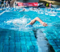 游泳池水质处置惩罚问题（为奥运选手偷偷染了头发）