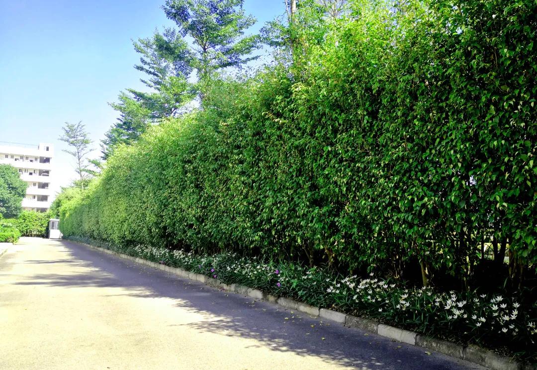 新葡的京集团350vip8888(中国)有限公司官网