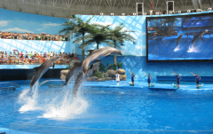 海洋馆里的水怎么过滤？