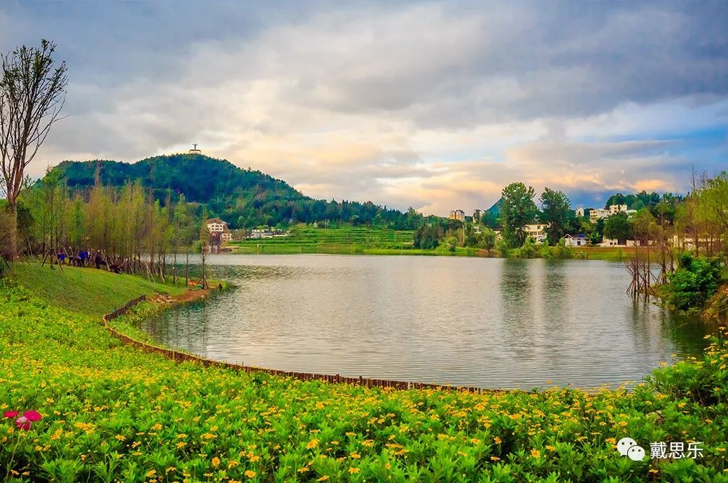 新葡的京集团350vip8888(中国)有限公司官网