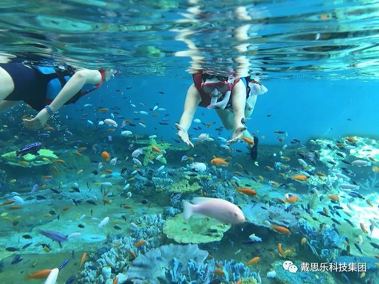 海洋浮潜馆，海洋馆装备