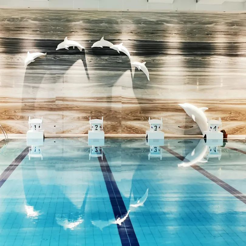 新葡的京集团350vip8888(中国)有限公司官网