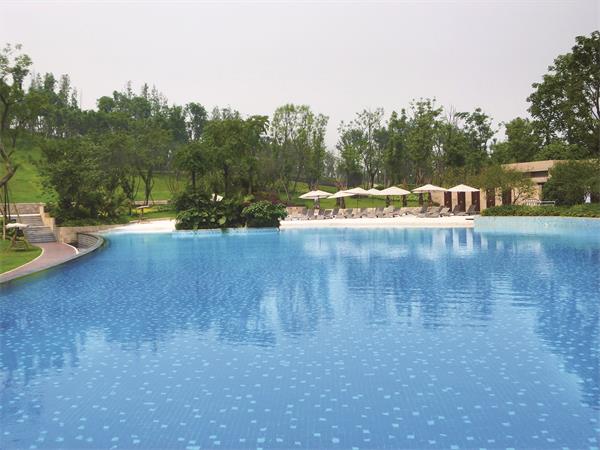 游泳池为什么需要装置水处置惩罚系统？