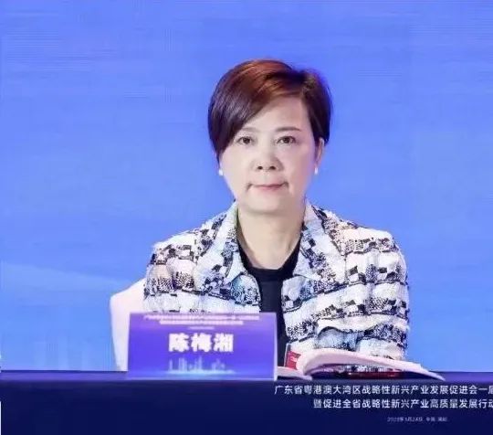 戴思乐陈梅湘董事长中选大湾区战新会副会长