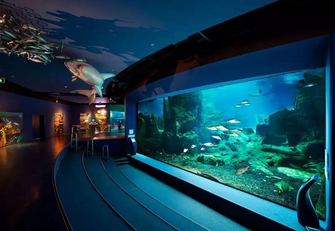 海洋馆,海洋馆问题,海洋馆除湿透风