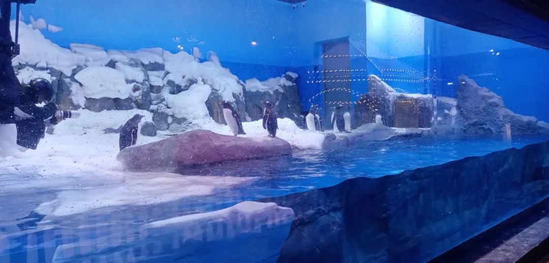 新葡的京集团350vip8888(中国)有限公司官网