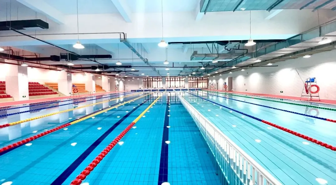 哇塞！中山石岐这所学校的国标泳池对外开放啦！在你家周围吗？