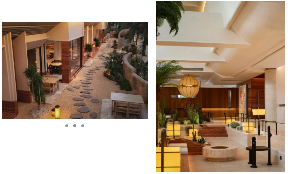 新葡的京集团350vip8888(中国)有限公司官网