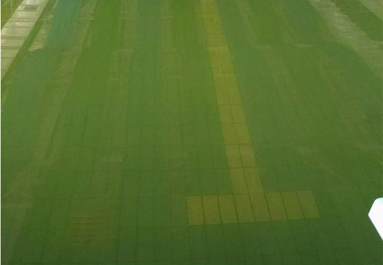 解决游泳池水质污浊的四大战略，接待查阅！