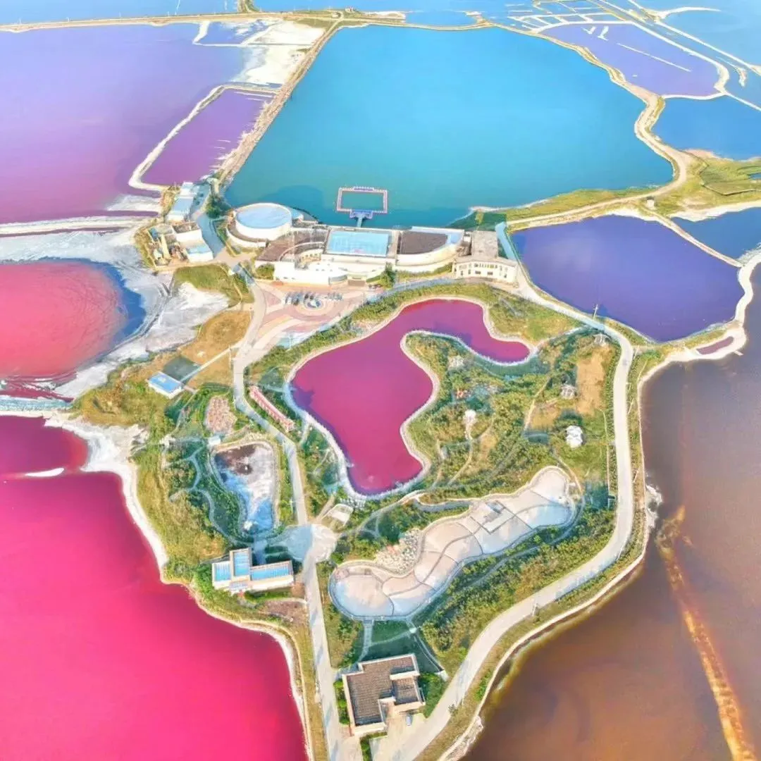 新葡的京集团350vip8888(中国)有限公司官网