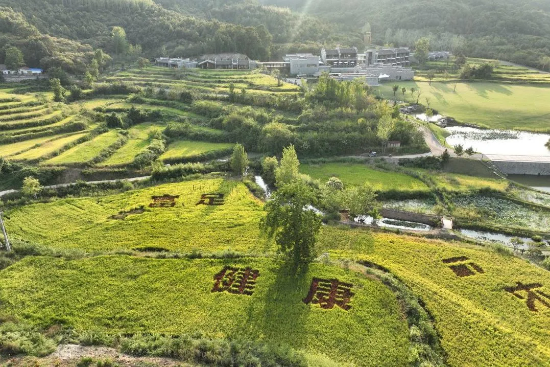 新葡的京集团350vip8888(中国)有限公司官网