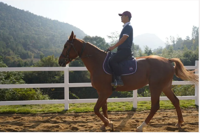 新葡的京集团350vip8888(中国)有限公司官网