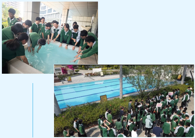 新葡的京集团350vip8888(中国)有限公司官网