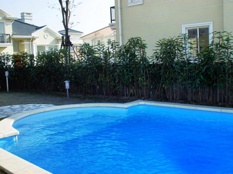 别再忽视！游泳池水循环净化系统这些主要功效？