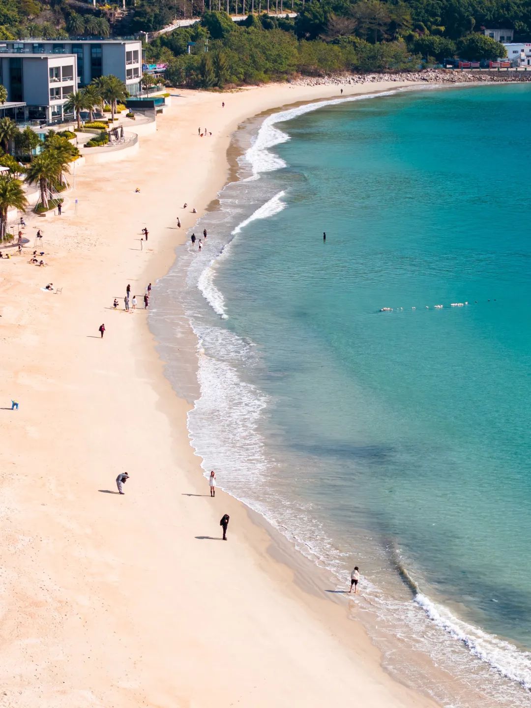 新葡的京集团350vip8888(中国)有限公司官网