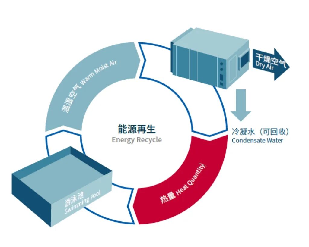 新葡的京集团350vip8888(中国)有限公司官网