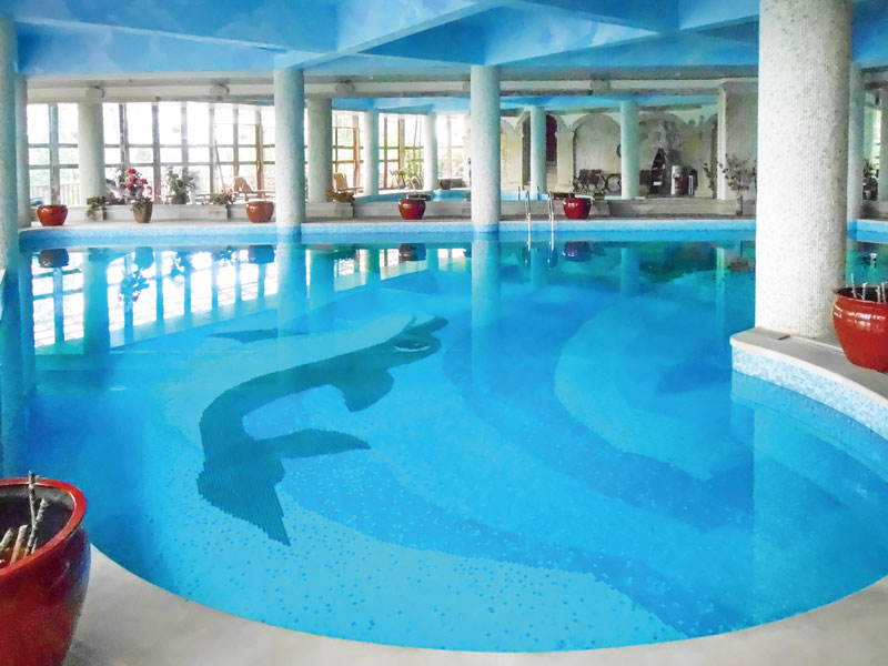 游泳池水处置惩罚装备,游泳池水处置惩罚系统,泳池水处置惩罚