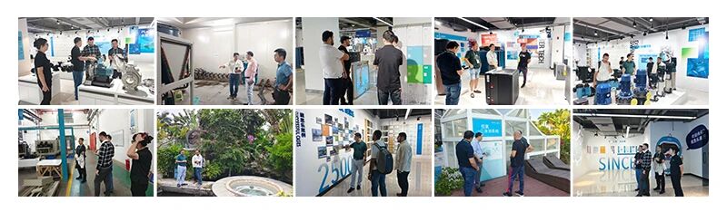 新葡的京集团350vip8888(中国)有限公司官网