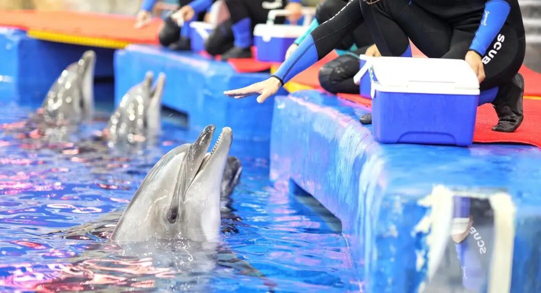 新葡的京集团350vip8888(中国)有限公司官网