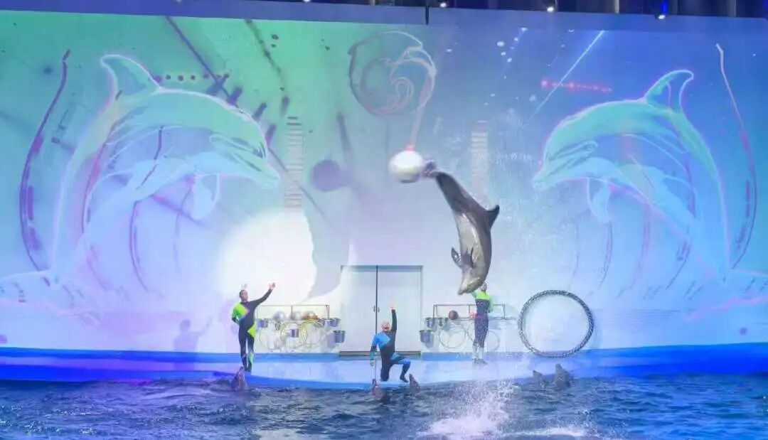 新葡的京集团350vip8888(中国)有限公司官网