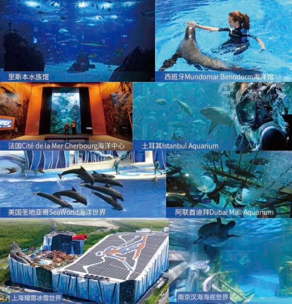 新葡的京集团350vip8888(中国)有限公司官网