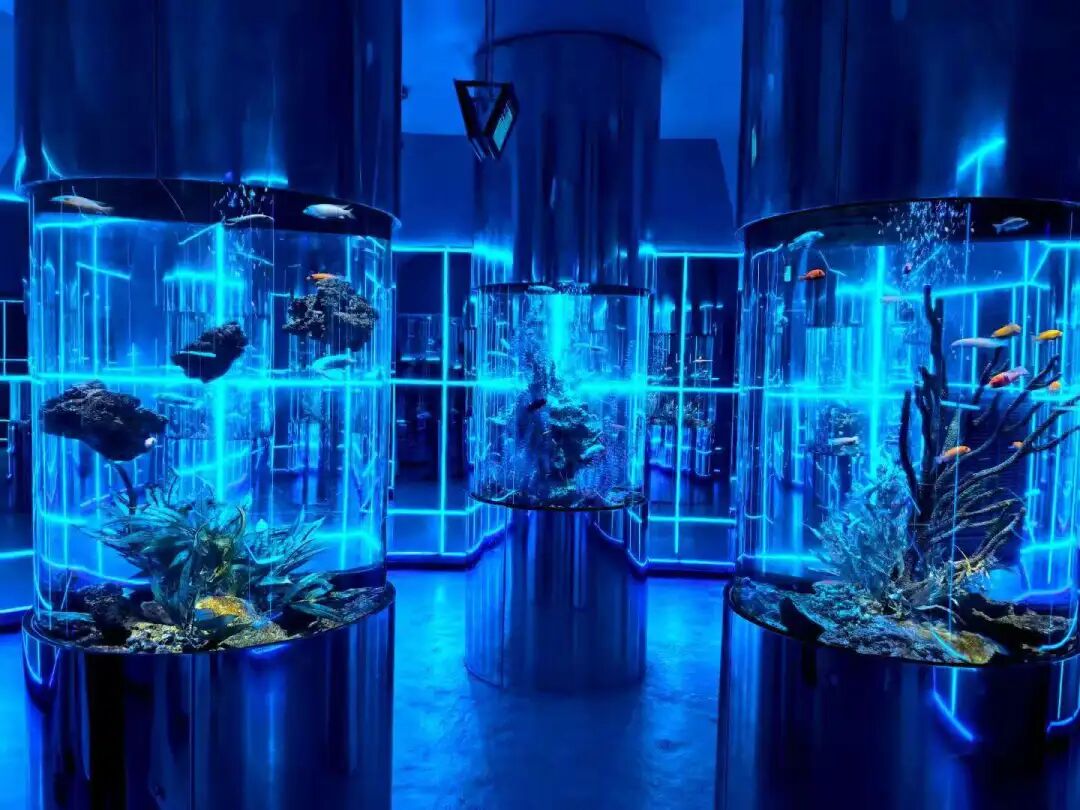 新葡的京集团350vip8888(中国)有限公司官网